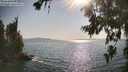 ./images/koeye/fitz-hugh/20260720/fitz-hugh20260720_174001M.jpg