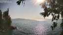 ./images/koeye/fitz-hugh/20260720/fitz-hugh20260720_174501M.jpg