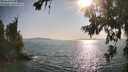 ./images/koeye/fitz-hugh/20260720/fitz-hugh20260720_181002M.jpg