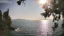 ./images/koeye/fitz-hugh/20260720/fitz-hugh20260720_181501M.jpg