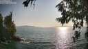 ./images/koeye/fitz-hugh/20260720/fitz-hugh20260720_182501M.jpg