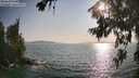 ./images/koeye/fitz-hugh/20260720/fitz-hugh20260720_183501M.jpg