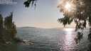 ./images/koeye/fitz-hugh/20260720/fitz-hugh20260720_184501M.jpg