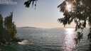 ./images/koeye/fitz-hugh/20260720/fitz-hugh20260720_185001M.jpg