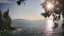 ./images/koeye/fitz-hugh/20260720/fitz-hugh20260720_190002M.jpg