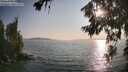 ./images/koeye/fitz-hugh/20260720/fitz-hugh20260720_190501M.jpg