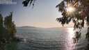 ./images/koeye/fitz-hugh/20260720/fitz-hugh20260720_191001M.jpg
