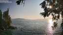 ./images/koeye/fitz-hugh/20260720/fitz-hugh20260720_191501M.jpg