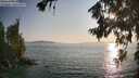 ./images/koeye/fitz-hugh/20260720/fitz-hugh20260720_192002M.jpg
