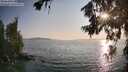 ./images/koeye/fitz-hugh/20260720/fitz-hugh20260720_192501M.jpg