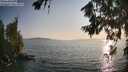 ./images/koeye/fitz-hugh/20260720/fitz-hugh20260720_193501M.jpg