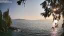 ./images/koeye/fitz-hugh/20260720/fitz-hugh20260720_194501M.jpg