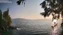 ./images/koeye/fitz-hugh/20260720/fitz-hugh20260720_195002M.jpg