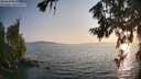 ./images/koeye/fitz-hugh/20260720/fitz-hugh20260720_200001M.jpg