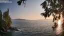 ./images/koeye/fitz-hugh/20260720/fitz-hugh20260720_202002M.jpg