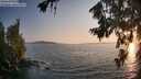 ./images/koeye/fitz-hugh/20260720/fitz-hugh20260720_202501M.jpg