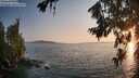 ./images/koeye/fitz-hugh/20260720/fitz-hugh20260720_203002M.jpg