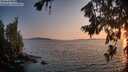 ./images/koeye/fitz-hugh/20260720/fitz-hugh20260720_205001M.jpg