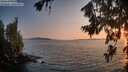 ./images/koeye/fitz-hugh/20260720/fitz-hugh20260720_205501M.jpg