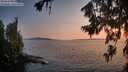 ./images/koeye/fitz-hugh/20260720/fitz-hugh20260720_211001M.jpg