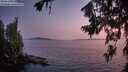 ./images/koeye/fitz-hugh/20260720/fitz-hugh20260720_220501M.jpg