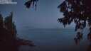 ./images/koeye/fitz-hugh/20260721/fitz-hugh20260721_045001M.jpg
