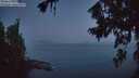 ./images/koeye/fitz-hugh/20260721/fitz-hugh20260721_045501M.jpg