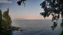 ./images/koeye/fitz-hugh/20260721/fitz-hugh20260721_065501M.jpg