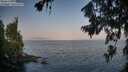 ./images/koeye/fitz-hugh/20260721/fitz-hugh20260721_070501M.jpg