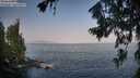 ./images/koeye/fitz-hugh/20260721/fitz-hugh20260721_075501M.jpg