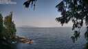 ./images/koeye/fitz-hugh/20260721/fitz-hugh20260721_081501M.jpg