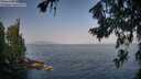 ./images/koeye/fitz-hugh/20260721/fitz-hugh20260721_082002M.jpg