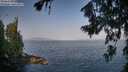 ./images/koeye/fitz-hugh/20260721/fitz-hugh20260721_083001M.jpg