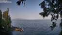./images/koeye/fitz-hugh/20260721/fitz-hugh20260721_083502M.jpg