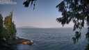 ./images/koeye/fitz-hugh/20260721/fitz-hugh20260721_084501M.jpg