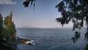 ./images/koeye/fitz-hugh/20260721/fitz-hugh20260721_085002M.jpg