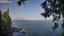 ./images/koeye/fitz-hugh/20260721/fitz-hugh20260721_091001M.jpg