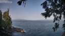 ./images/koeye/fitz-hugh/20260721/fitz-hugh20260721_091501M.jpg