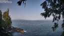 ./images/koeye/fitz-hugh/20260721/fitz-hugh20260721_092001M.jpg