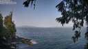 ./images/koeye/fitz-hugh/20260721/fitz-hugh20260721_092501M.jpg