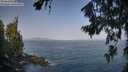 ./images/koeye/fitz-hugh/20260721/fitz-hugh20260721_093001M.jpg