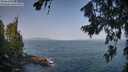 ./images/koeye/fitz-hugh/20260721/fitz-hugh20260721_095001M.jpg