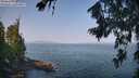 ./images/koeye/fitz-hugh/20260721/fitz-hugh20260721_095502M.jpg