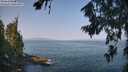 ./images/koeye/fitz-hugh/20260721/fitz-hugh20260721_100001M.jpg
