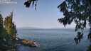 ./images/koeye/fitz-hugh/20260721/fitz-hugh20260721_100501M.jpg