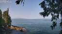 ./images/koeye/fitz-hugh/20260721/fitz-hugh20260721_102502M.jpg
