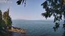 ./images/koeye/fitz-hugh/20260721/fitz-hugh20260721_103501M.jpg