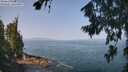 ./images/koeye/fitz-hugh/20260721/fitz-hugh20260721_104501M.jpg