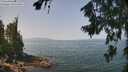 ./images/koeye/fitz-hugh/20260721/fitz-hugh20260721_120501M.jpg