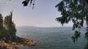 ./images/koeye/fitz-hugh/20260721/fitz-hugh20260721_121501M.jpg
